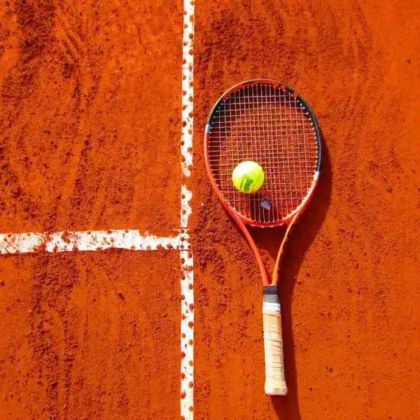 Introducing Organix Racquet Technology by Epic Sports International